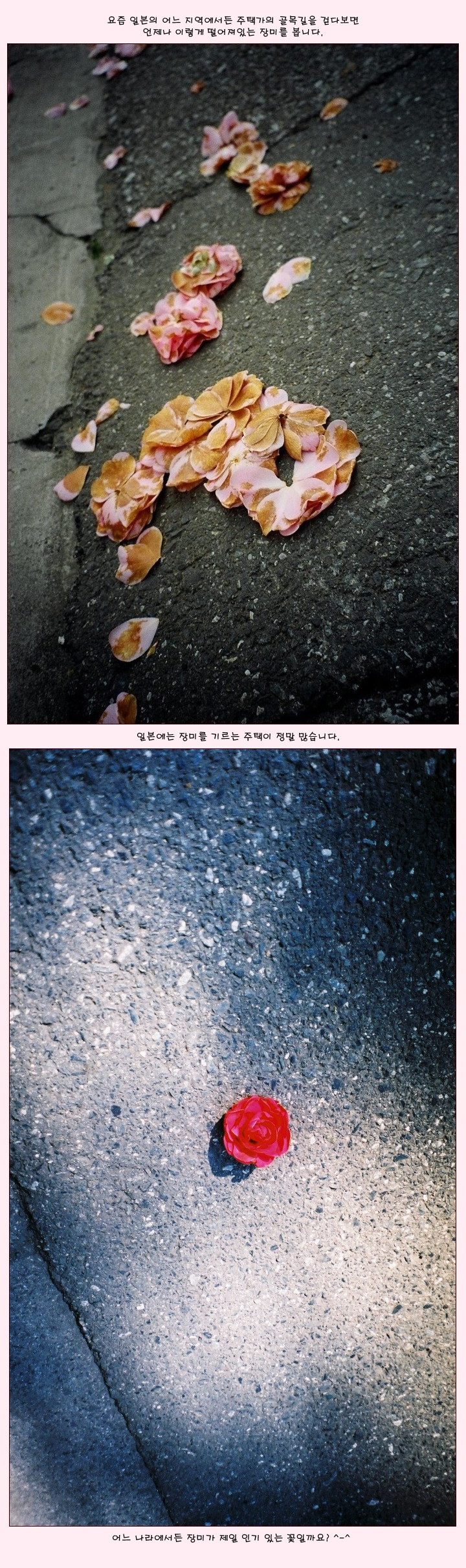 [�Ϻ���] ���ð� ��� ������ �ִ� ���